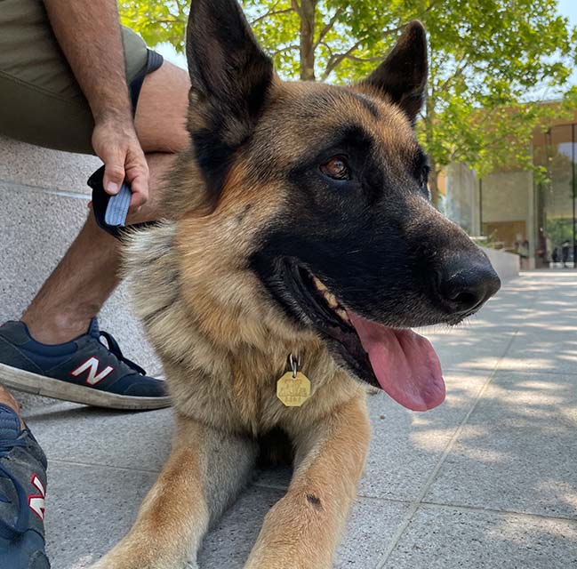 Beau
