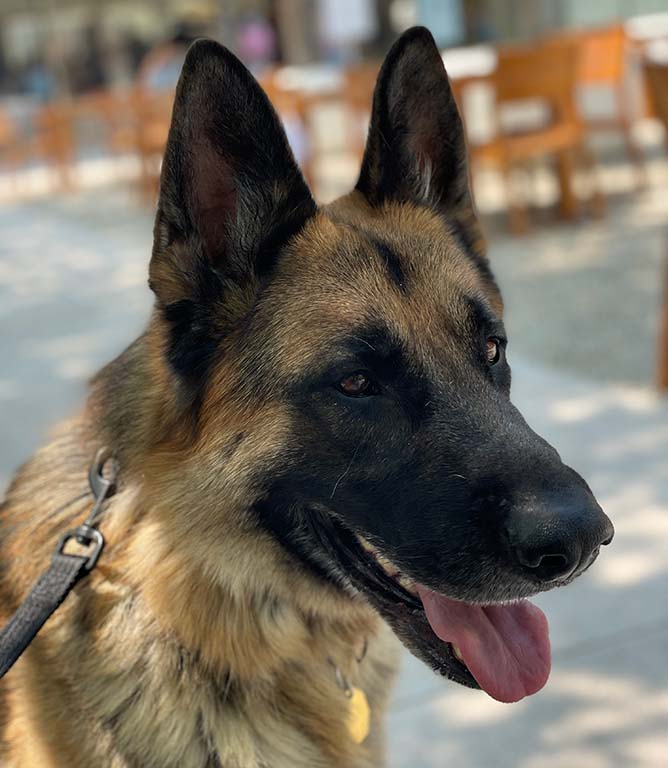 Beau