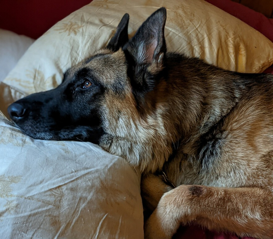 Beau