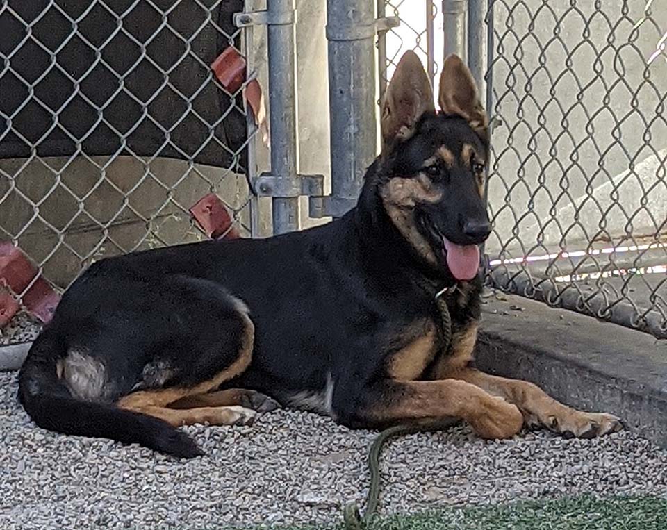 Athena
