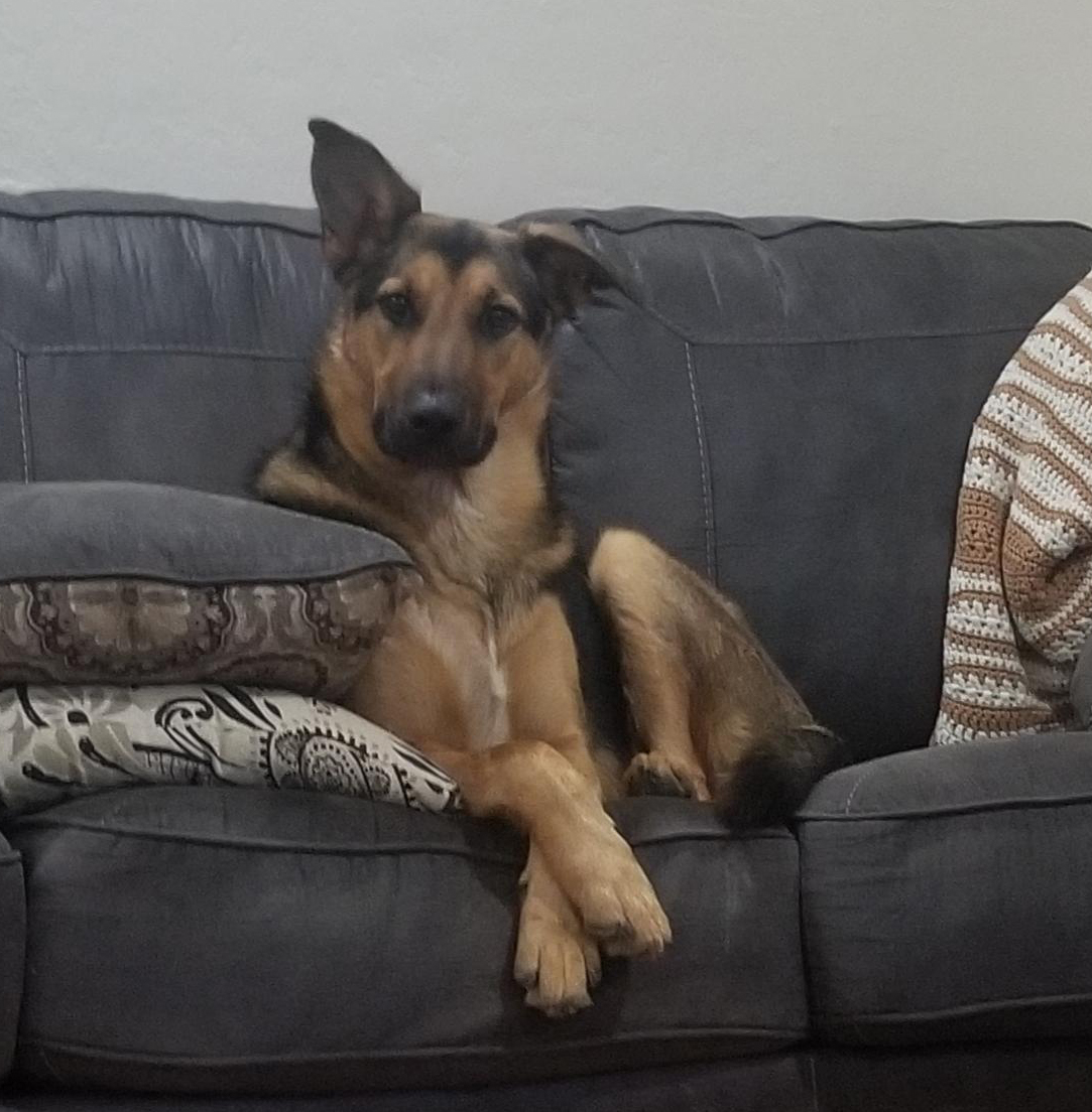 Cooper (Naldo)