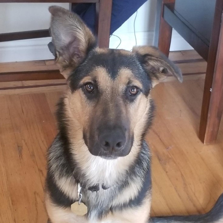 Cooper (Naldo)