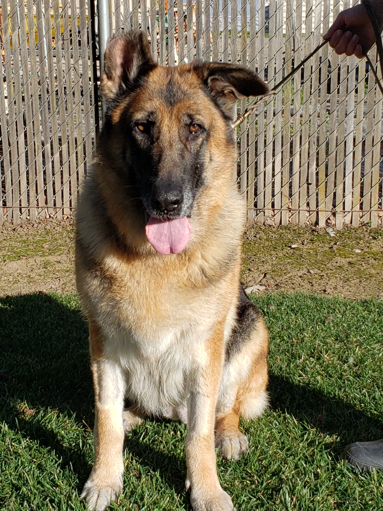 Marley