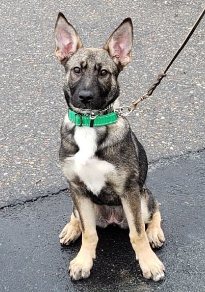 Xena