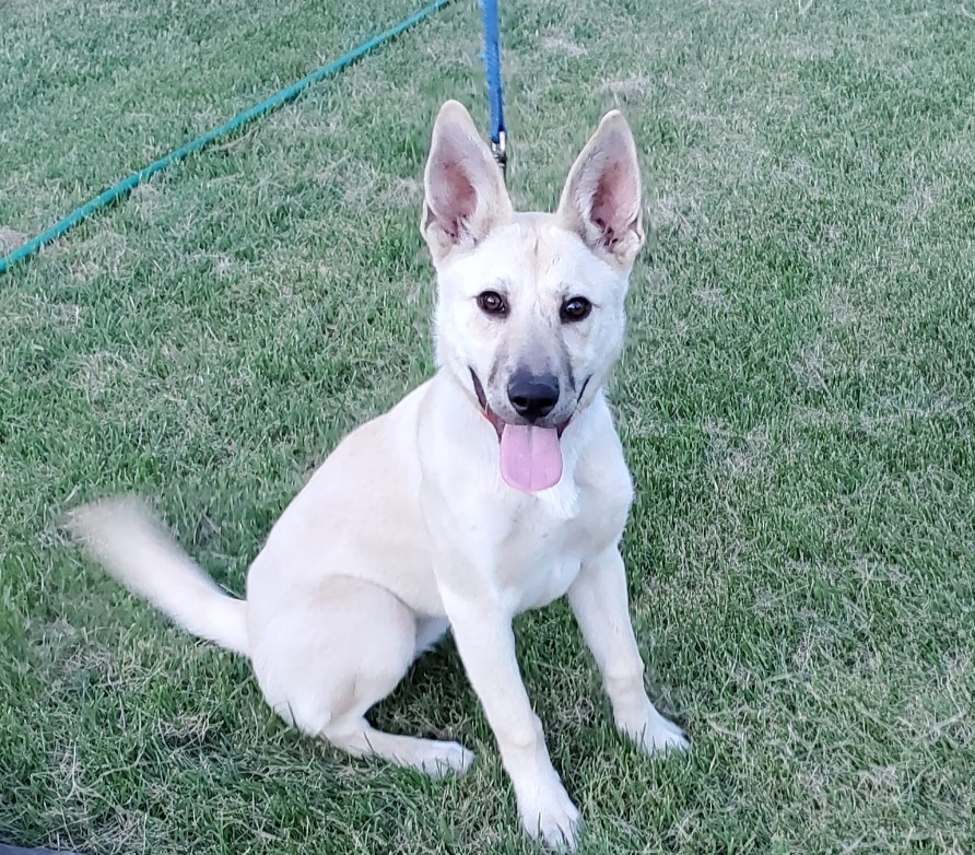 Maggie