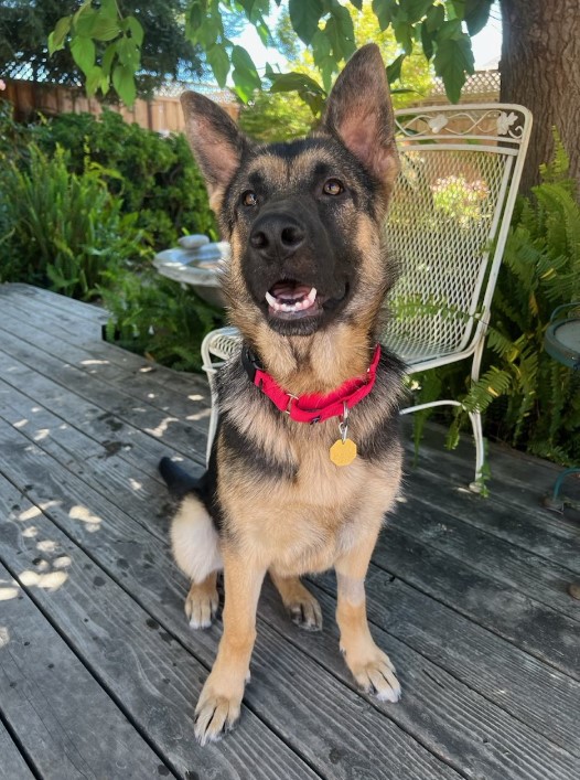 Ruby