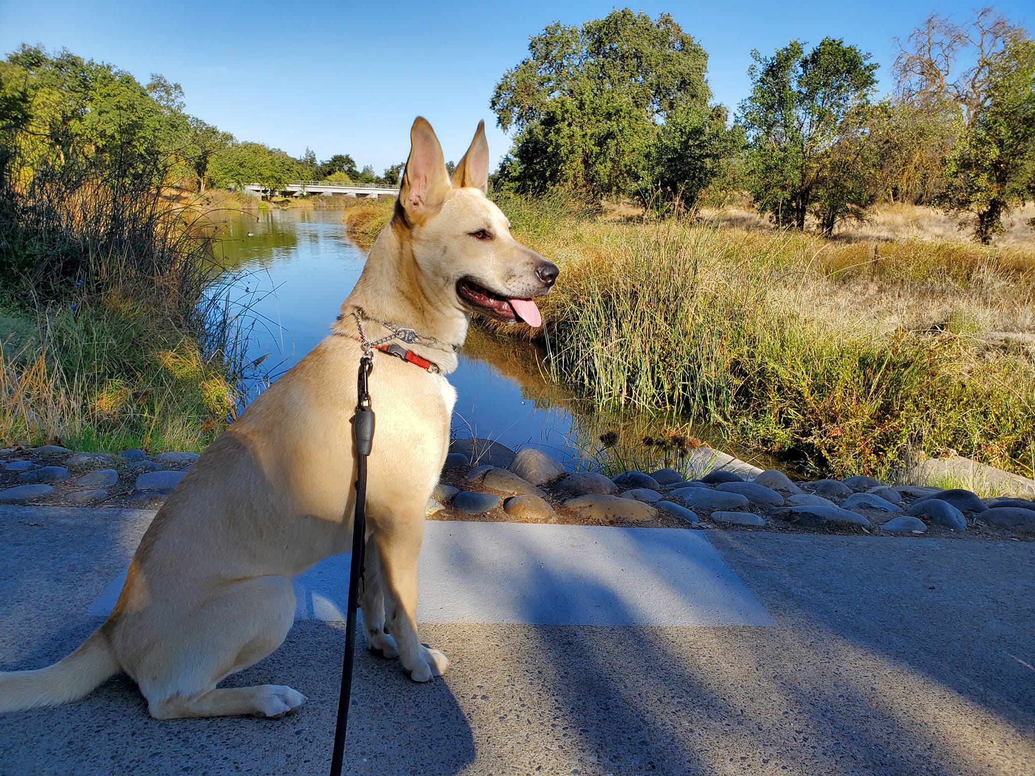 Maggie