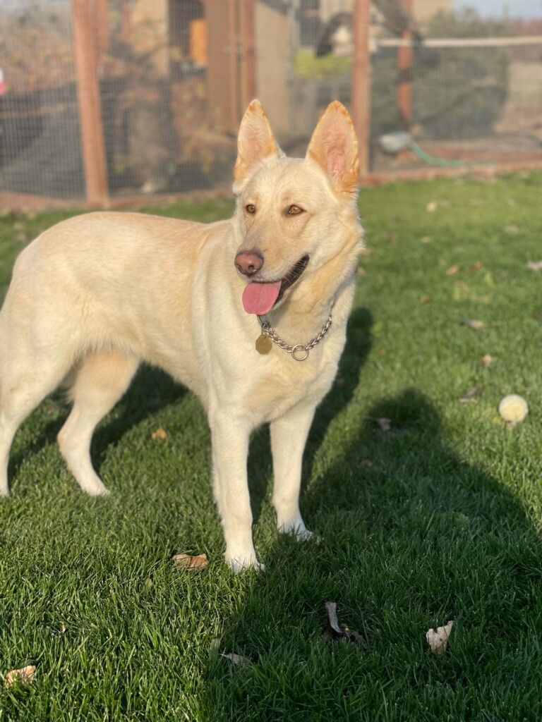 Greta
