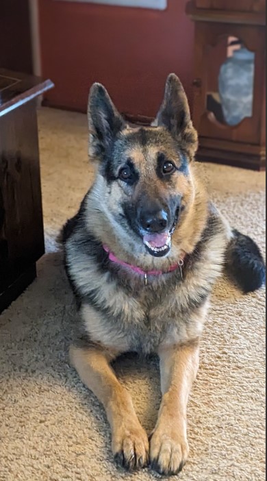 Penny 