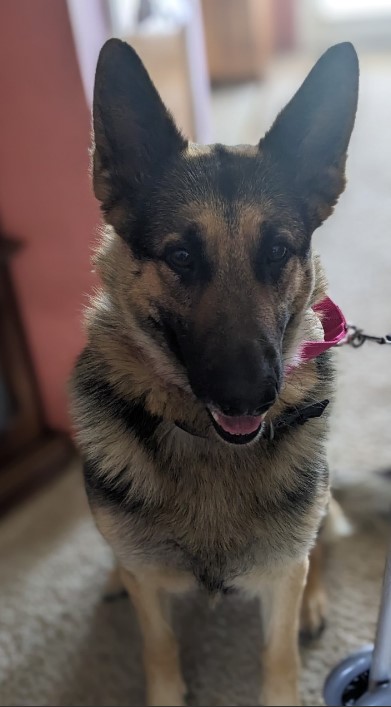 Penny 