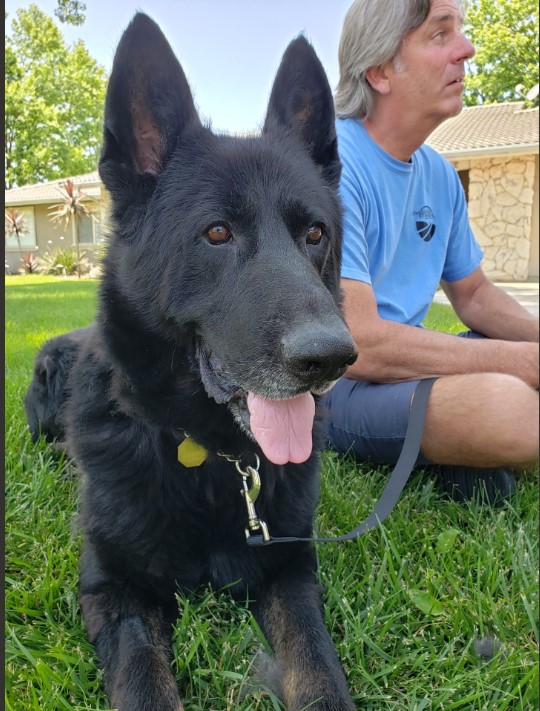 Zeus