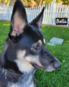  Bella