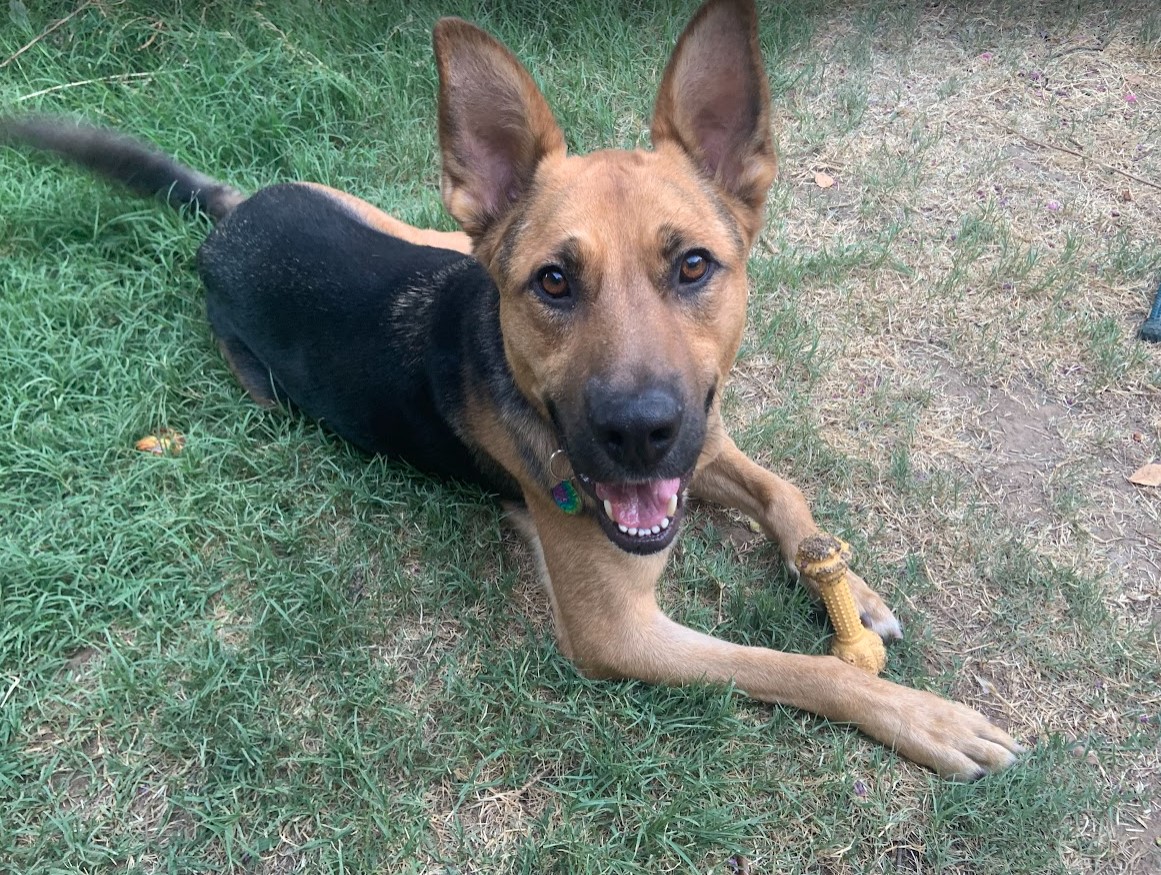 Duke