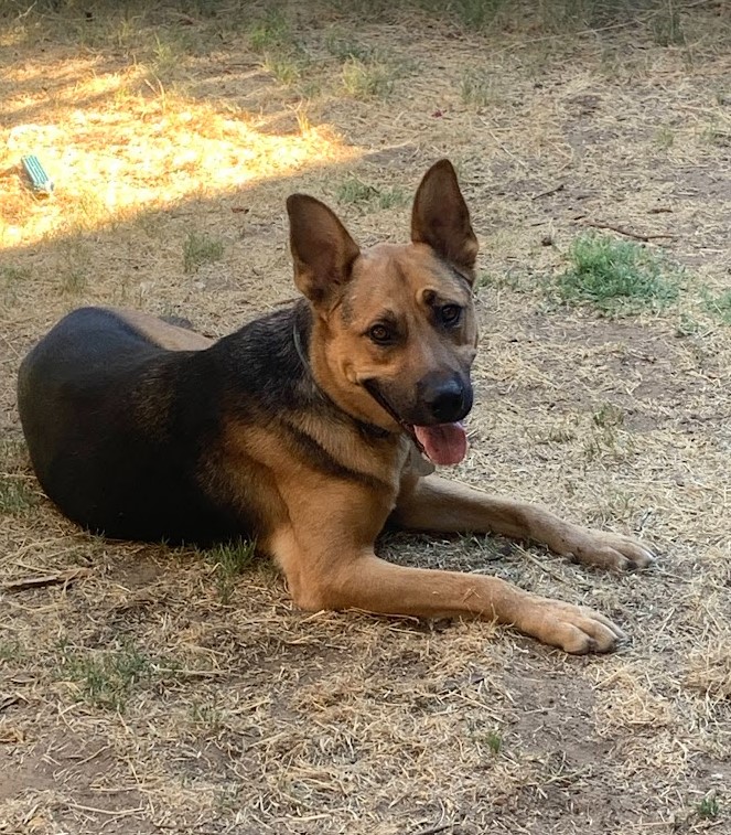 Duke