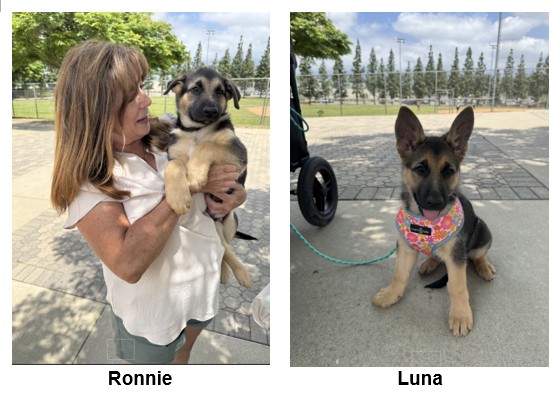 Ronnie and Luna 
