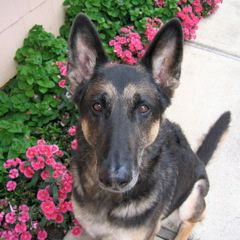 Gretchen_Mary_Severson