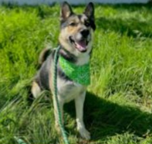 Roscoe