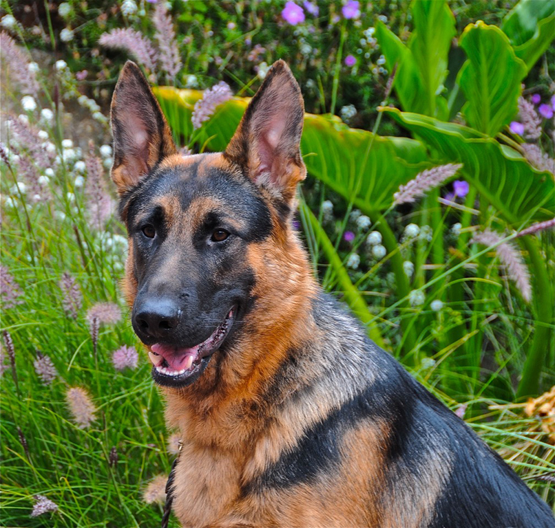 In Memory of Radar 